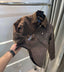 Ralph Lauren Sweado Brown Classic Bomber Jacket