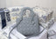 Dio_r lady ABCDio_r premium handbag with box 584