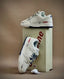 Nike Supreme x dunk low made by ideas