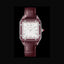 Cartier Santos Dumont Red