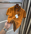 Christian Dio r Brown Knitted Imported Polo T-Shirt