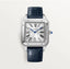 Cartier Dumont Silver Blue