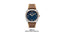 Radiomir Panerai Eliean Experience PAM01244-50 Piece Limited Edition