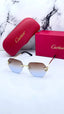 Cartier 8822 gold brown blue