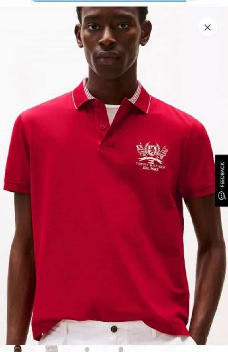 Tomm y Hilfiger Rust Embroidery Work Premium Polo T-Shirt Main image