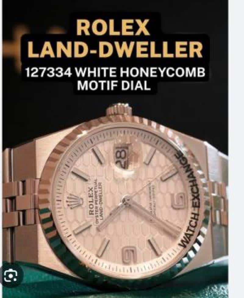 Role.x land dweller rose gold pink dial limited edition 003 Main image