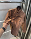 Tommy  Hilfiger Brown Premium Classic Shirt