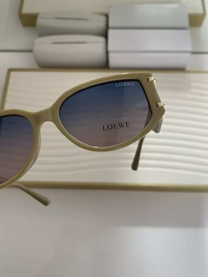 Loewe_5013_brown