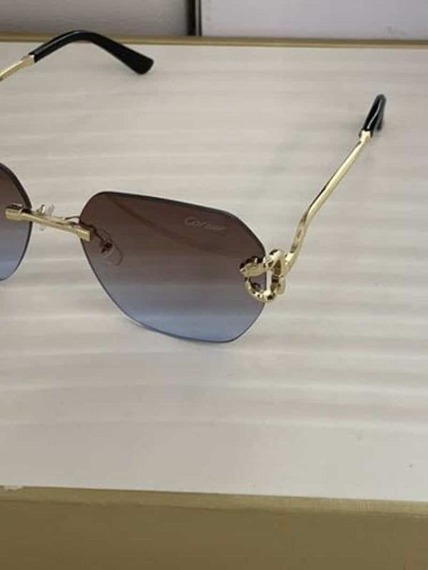 CarTi3R_8822_brown_blue