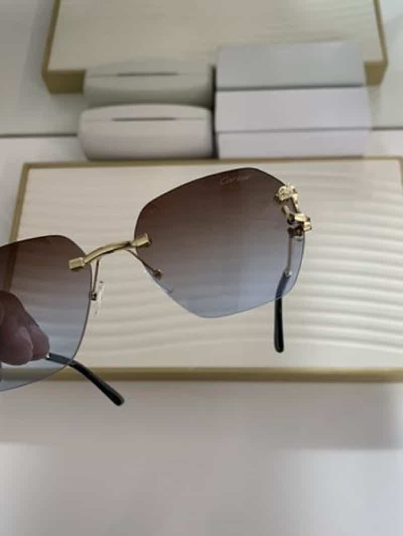 CarTi3R_8822_brown_blue