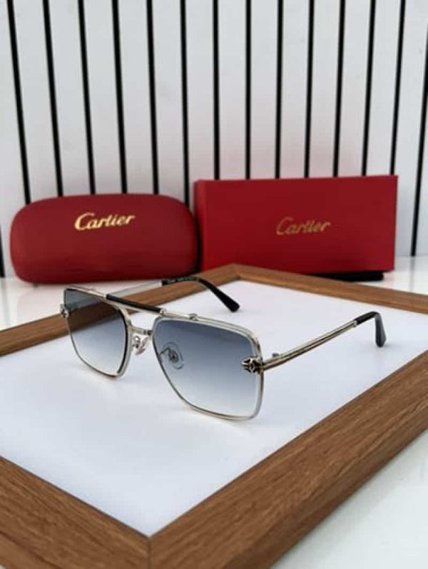 cartier_502 silver blue