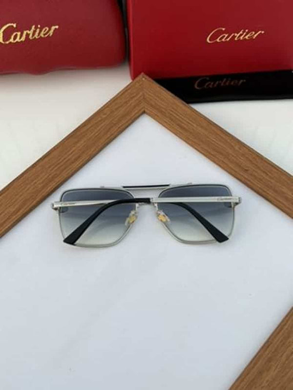 cartier_502 silver blue