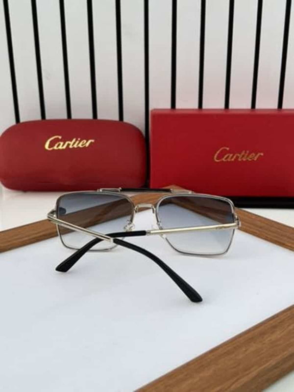 cartier_502 silver blue