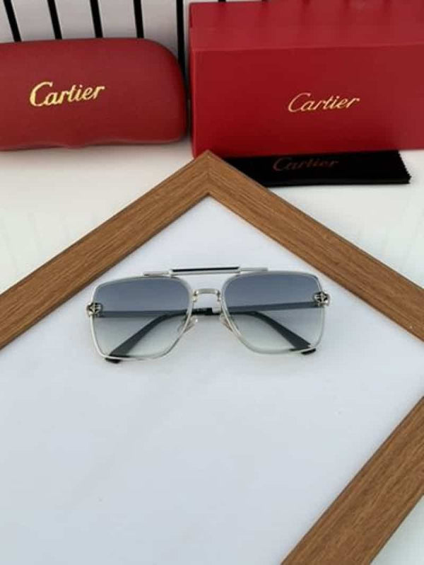 cartier_502 silver blue