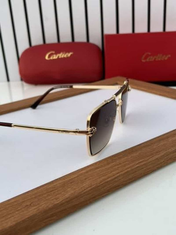cartier_502_gold brown shaded