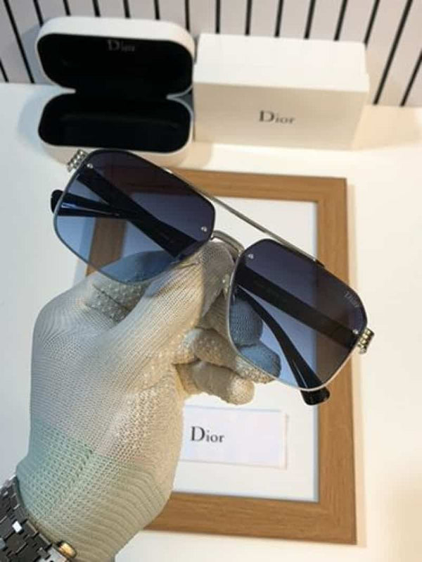 Dior_039 silver blue