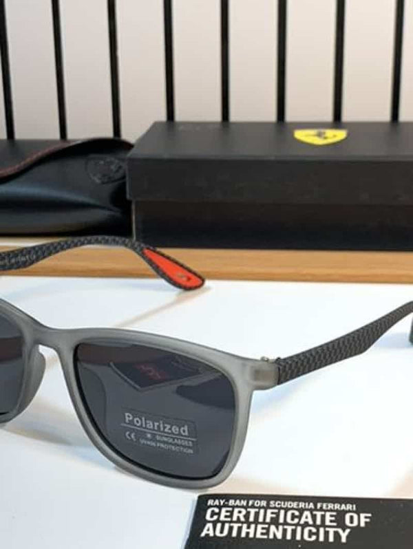 Rayban 66118 grey