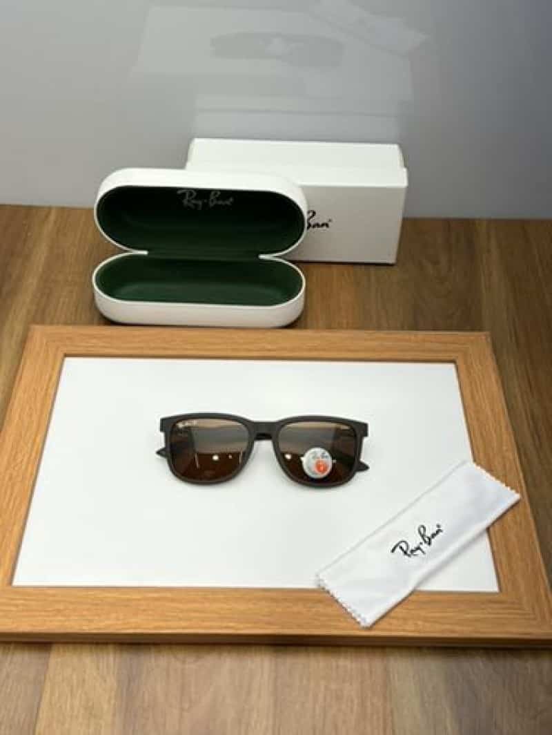 Rayban 69005 brown