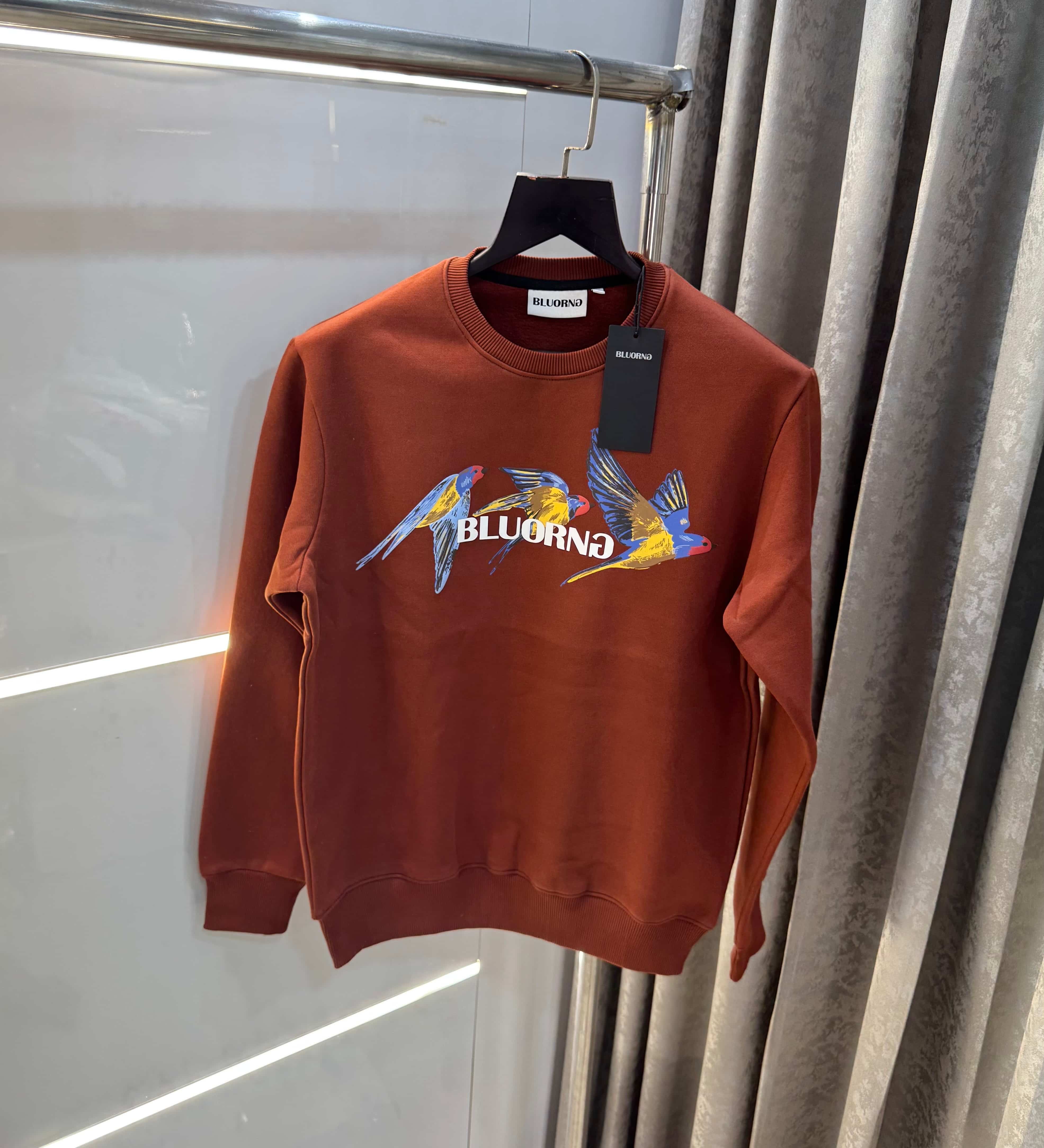 Bluorng Rust EmbO-sSed Logo Premium Sweatshirt Main image