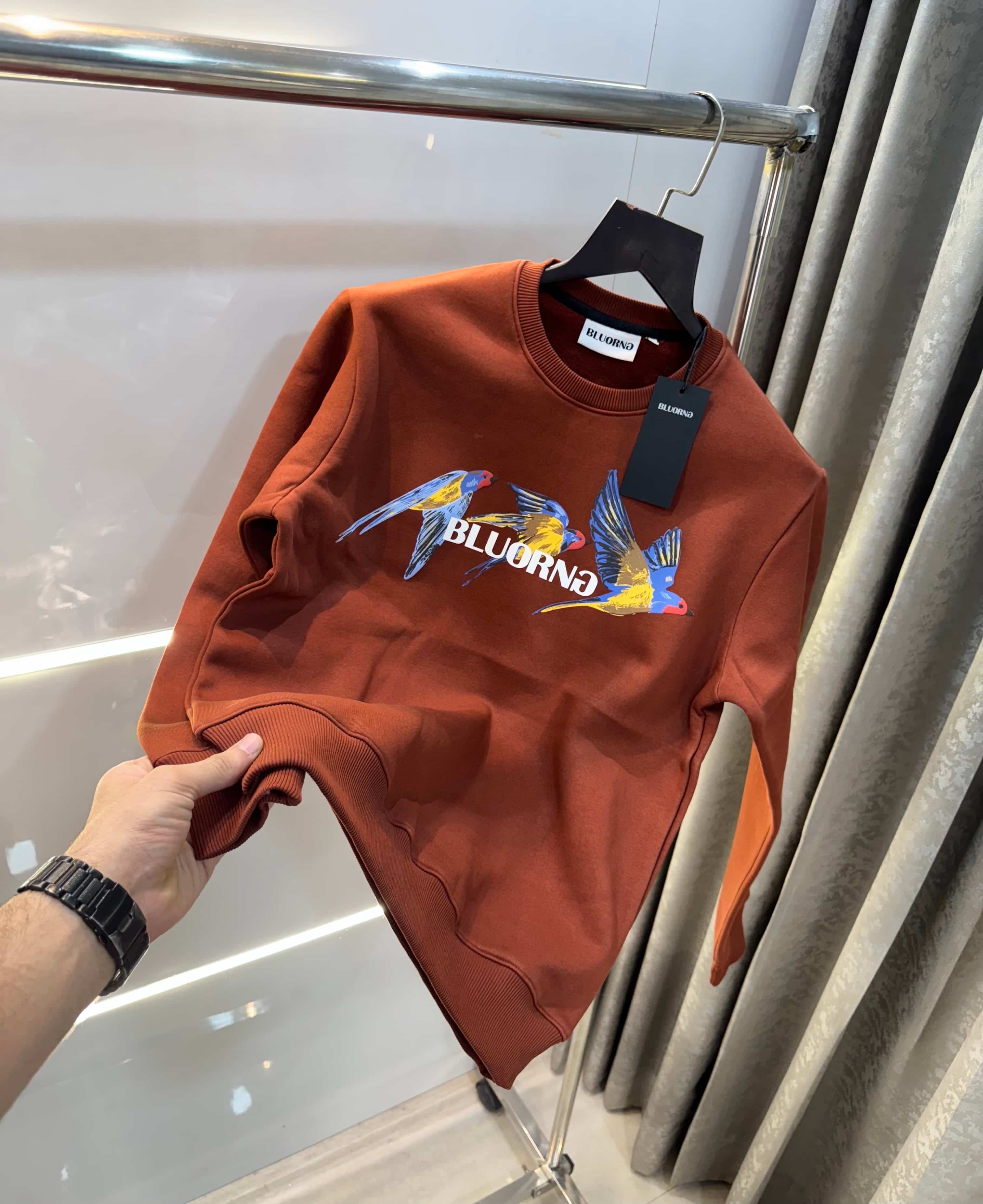 Bluorng Rust EmbO-sSed Logo Premium Sweatshirt Secondary image