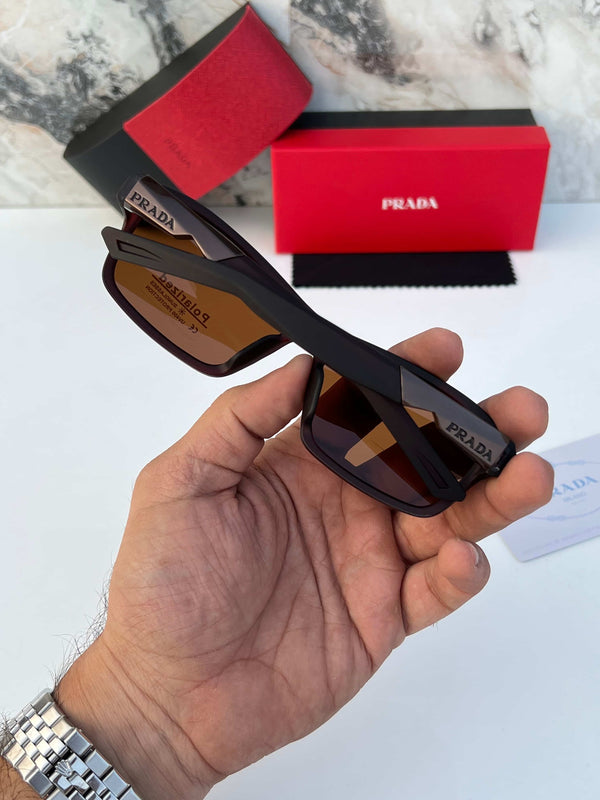 Pr_adA_1319_brown