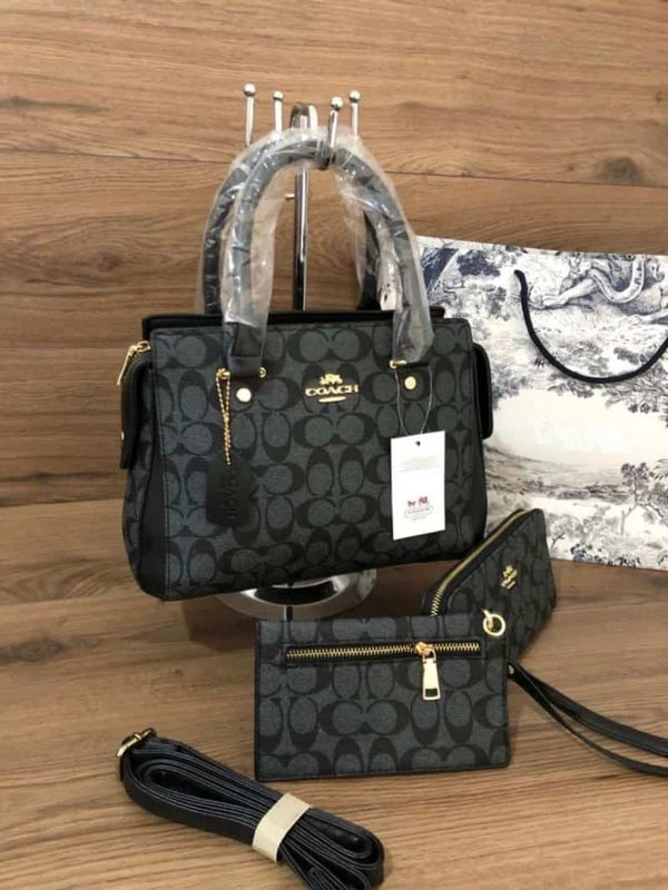 COACH_Premium_3pcs_Shoulder_Bag_729