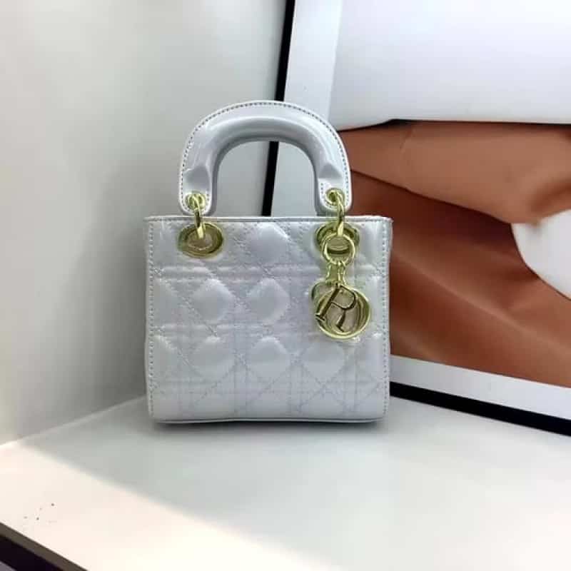 Dior_matt_Mini_handbag_with_Box_824