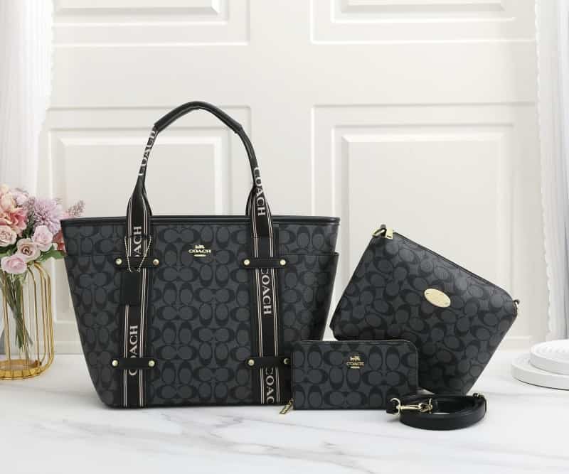 COACH_Premium_3pcs_Tote_Bag_893