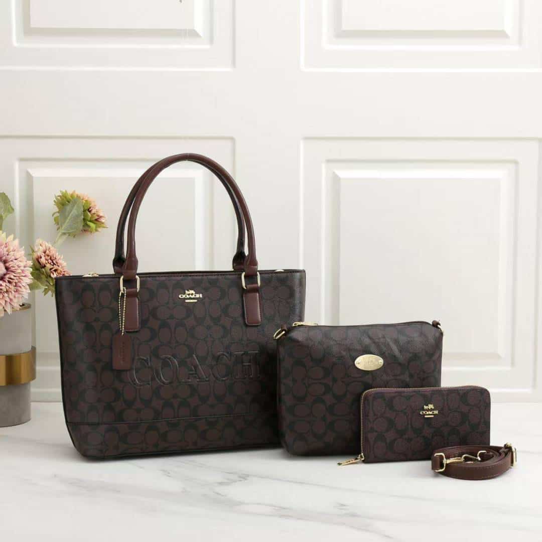 COACH_Premium_3pcs_Tote_Bag_1014