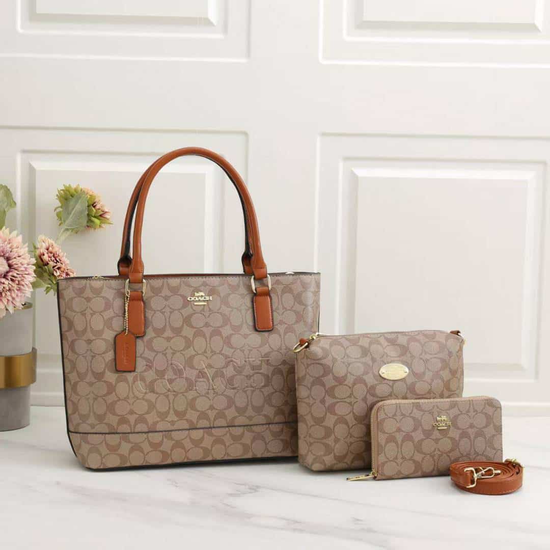 COACH_Premium_3pcs_Tote_Bag_1015