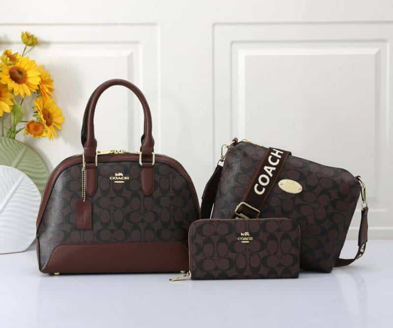 COACH_Premium_3pcs_Alma_Bag_1018
