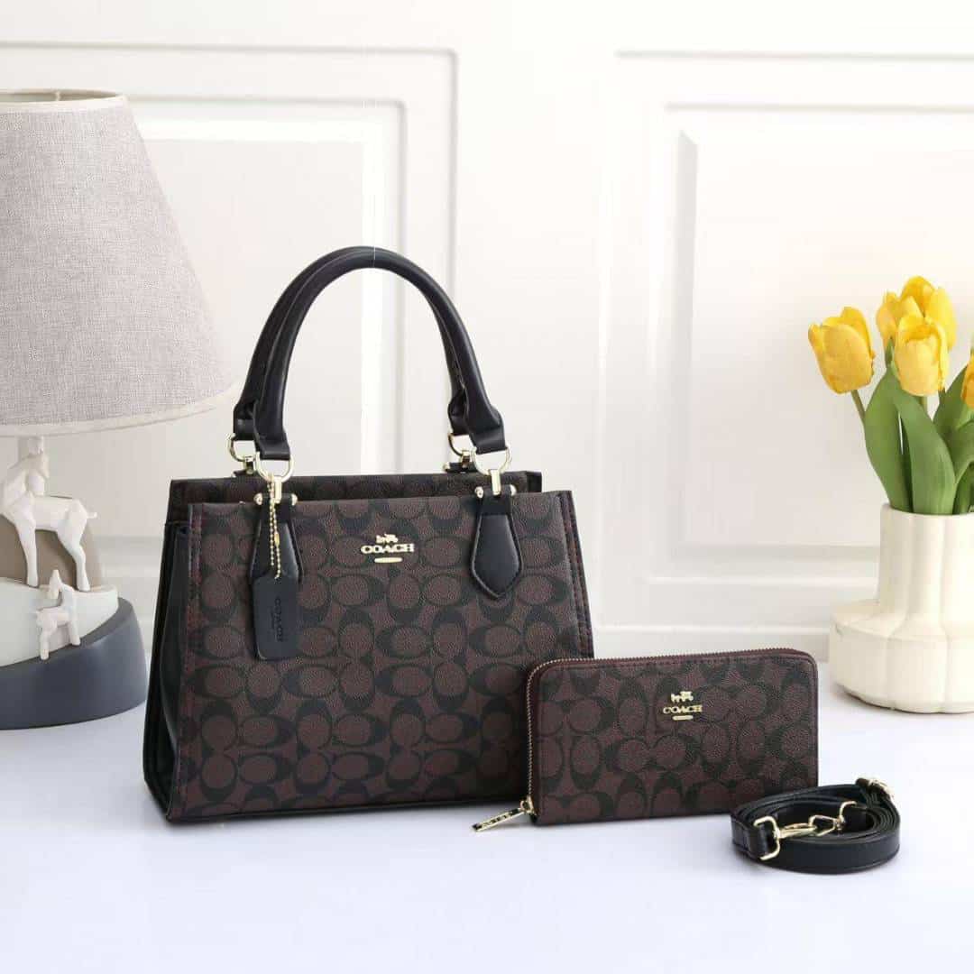 COACH_Premium_2pcs_Hand_Bag_1020