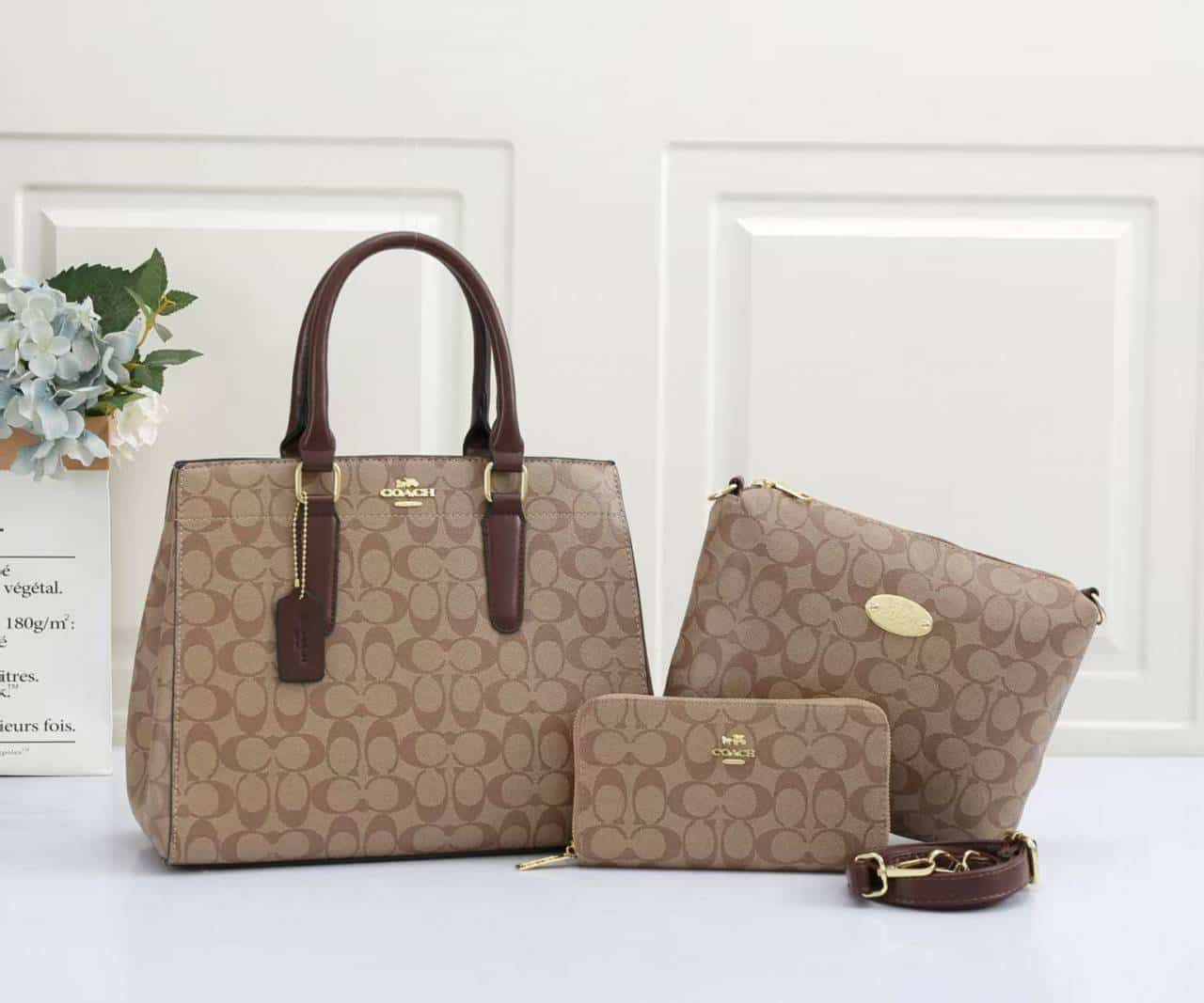 COACH_Premium_3pcs_Tote_Bag_1038