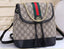 GUCCI_Ophedia_Mini_Backpack_with_Box_715