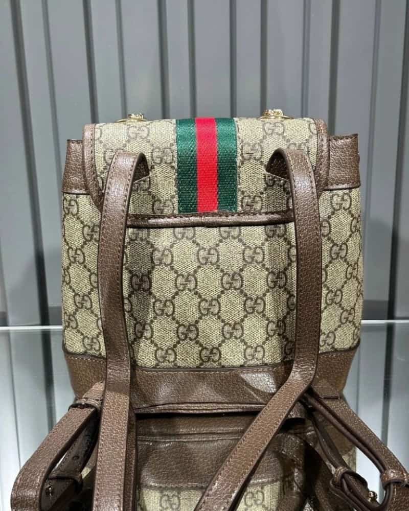 GUCCI_Ophedia_Mini_Backpack_with_Box_714