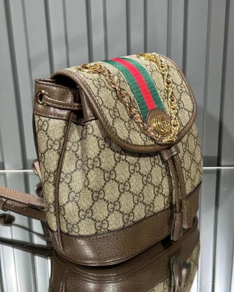 GUCCI_Ophedia_Mini_Backpack_with_Box_714