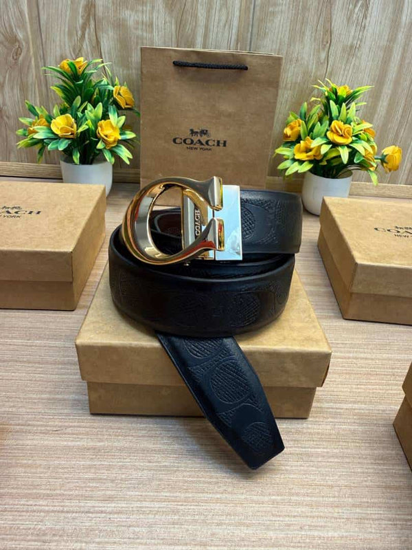 COACH_BELT_C200
