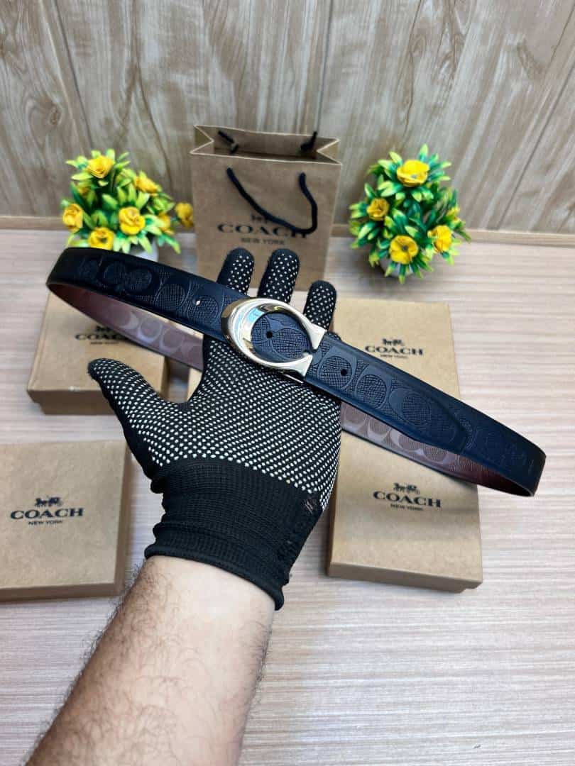 COACH_BELT_C196