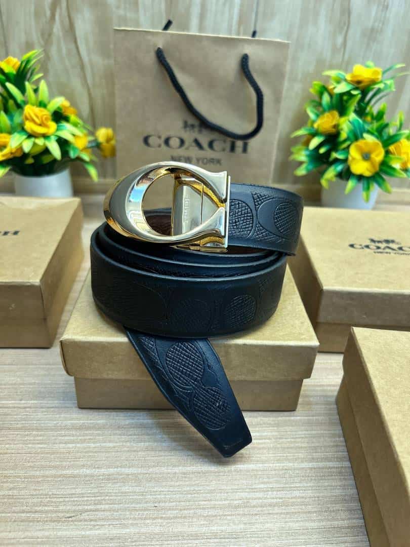 COACH_BELT_C196