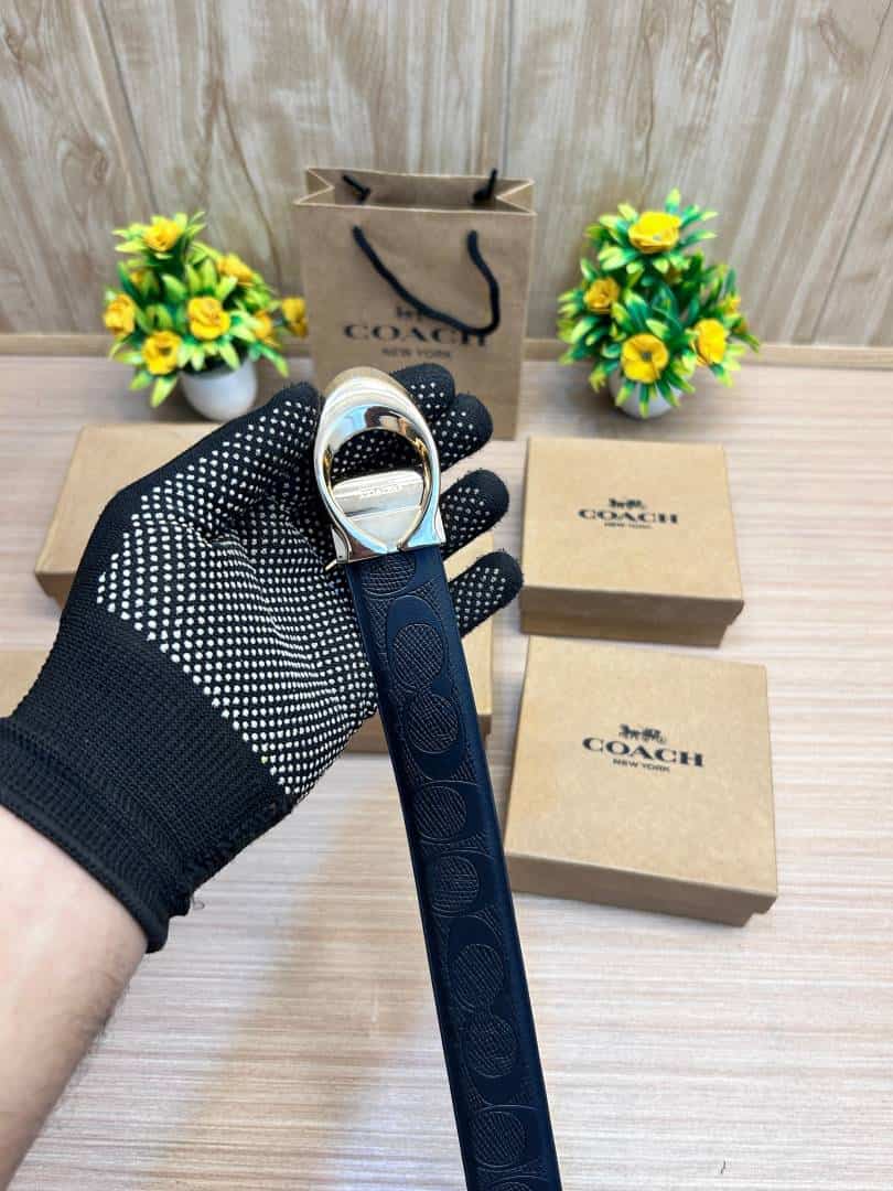 COACH_BELT_C196