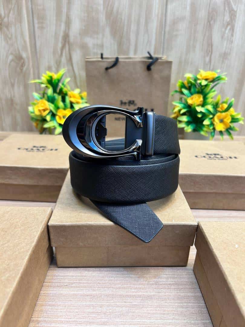 COACH_BELT_C195