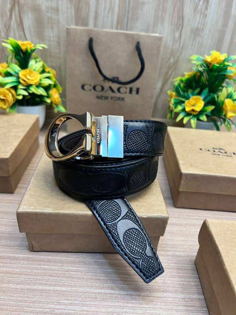 COACH_BELT_C194