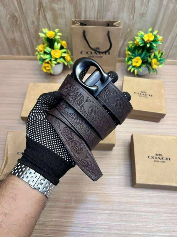 COACH_BELT_C194