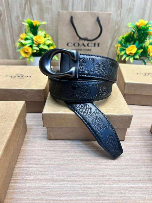 COACH_BELT_C193