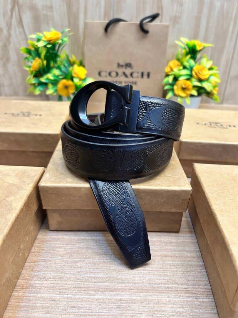 COACH_BELT_C192