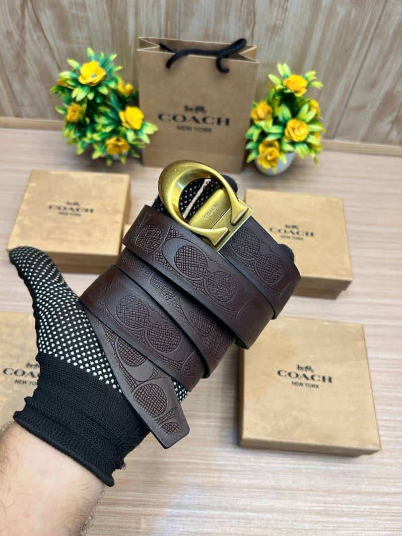 COACH_BELT_C190
