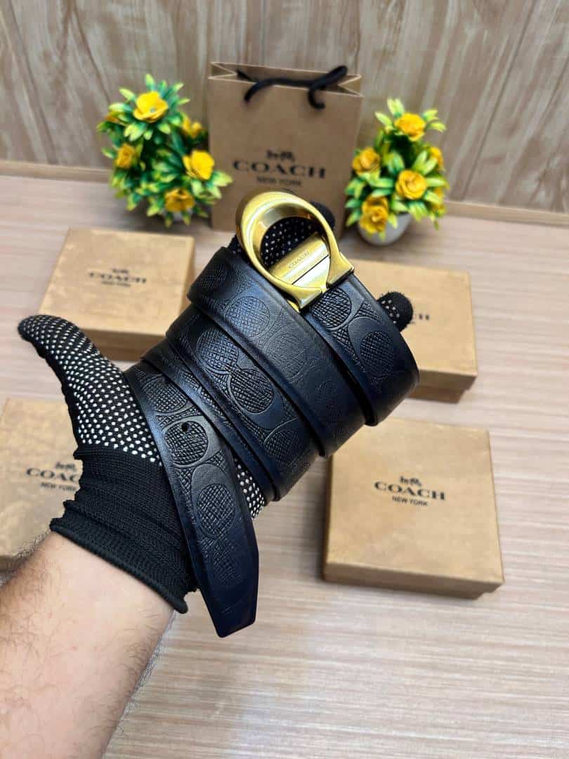 COACH_BELT_C190