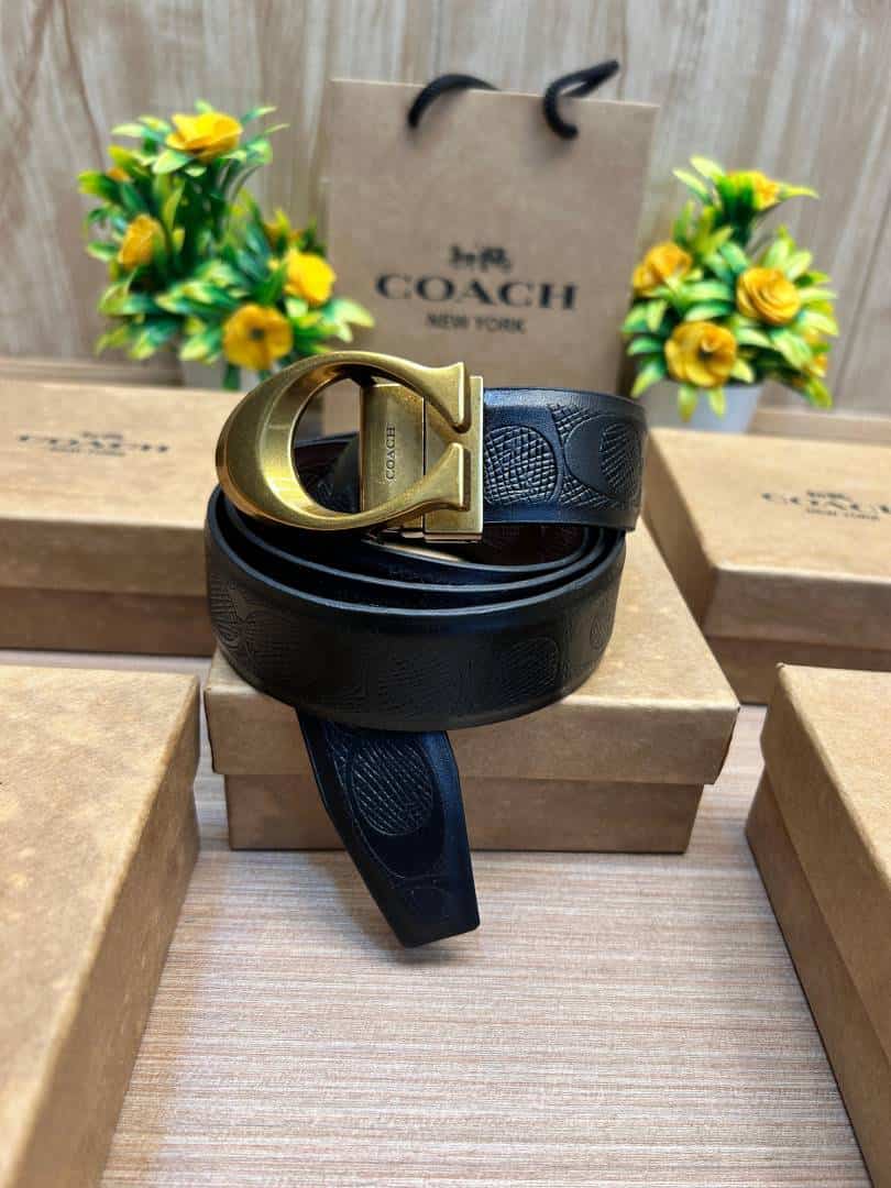 COACH_BELT_C190