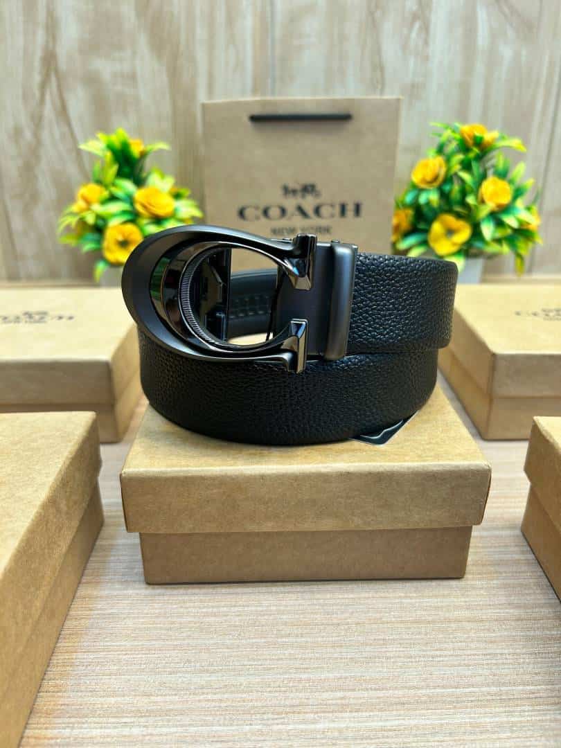 COACH_BELT_C184