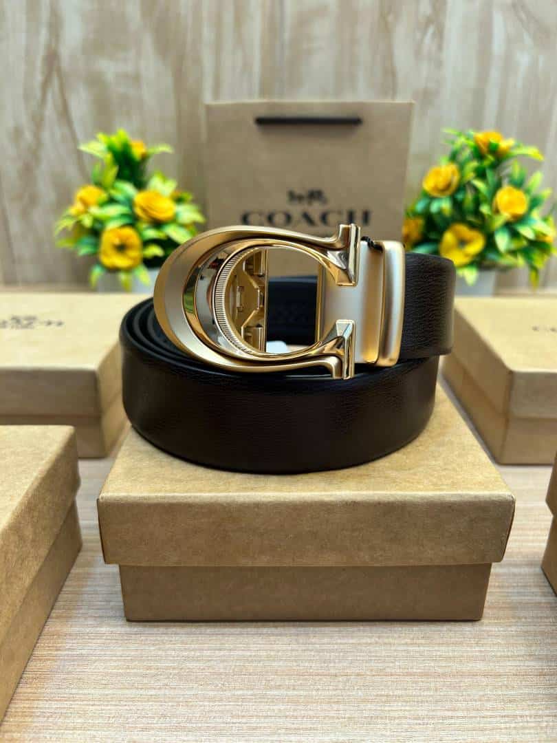 COACH_BELT_C181